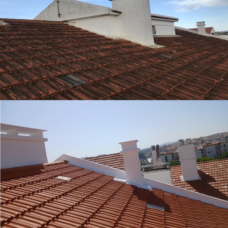 Projeto 6